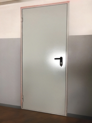 Однопольная стандартная дверь