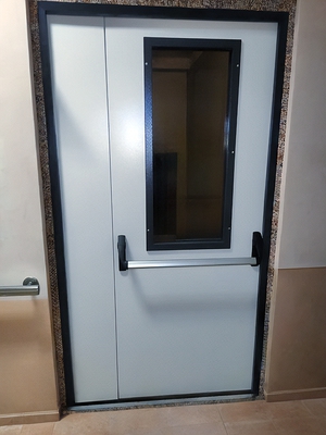 Дверь EIW 60 с ручкой push-bar