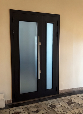 Дверь с большим остеклением