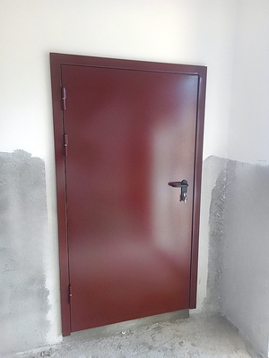 Дверь с покраской по RAL