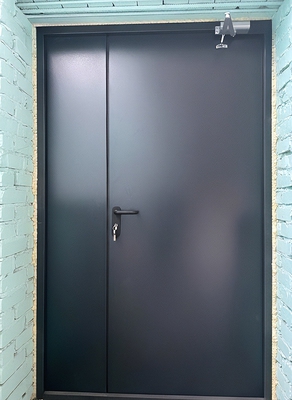 Дверь с покраской по RAL Дверь с покраской по RAL