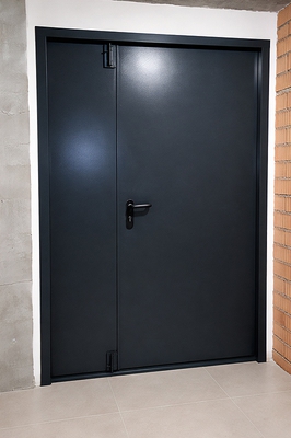 Дверь с покраской по RAL