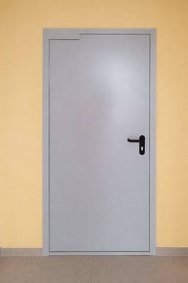 Дверь с серой покраской