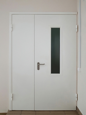 Двупольная дверь с узким окном