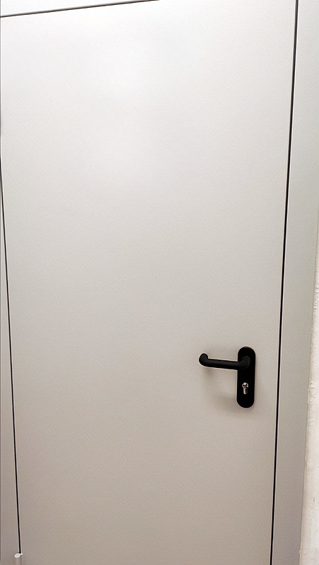 Глухая одностворчатая дверь