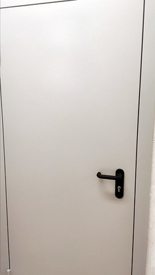 Глухая одностворчатая дверь Глухая одностворчатая дверь