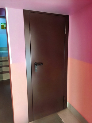 Одностворчатая коричневая дверь