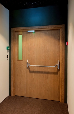 Остекленная дверь Антипаника