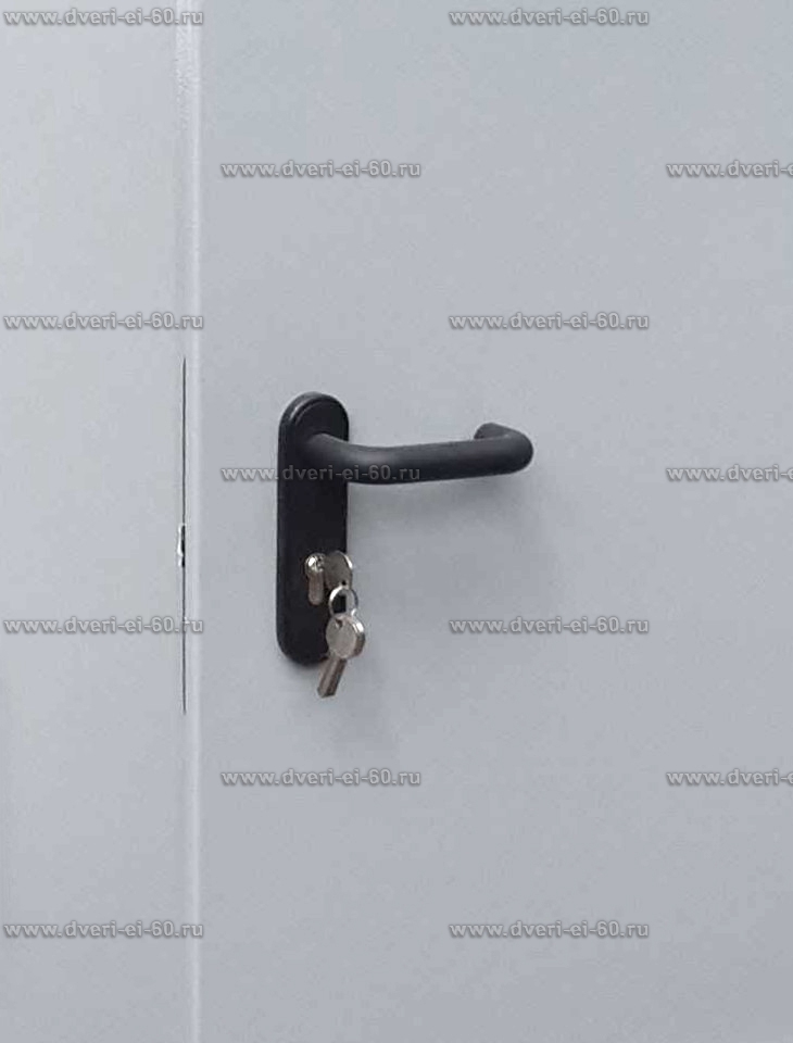 Установка противопожарных дверей двупольных глухих - 80 фото