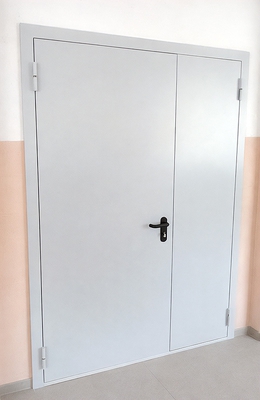 Полуторная стандартная дверь