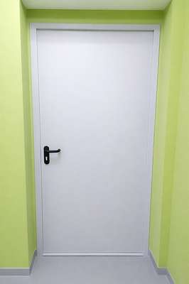 Стандартная пожаростойкая дверь Стандартная пожаростойкая дверь